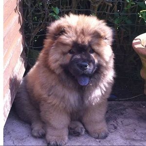 Meet your Posher, Joanne